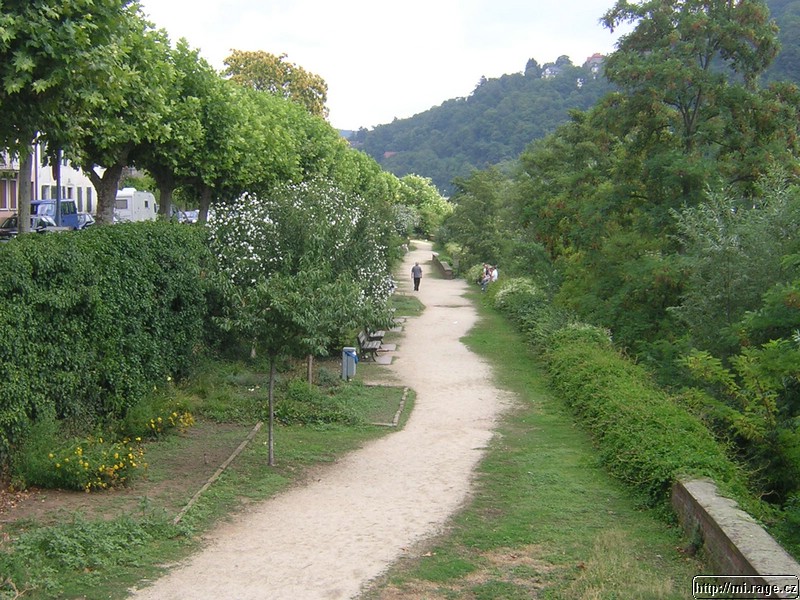 DSCN9737.JPG
