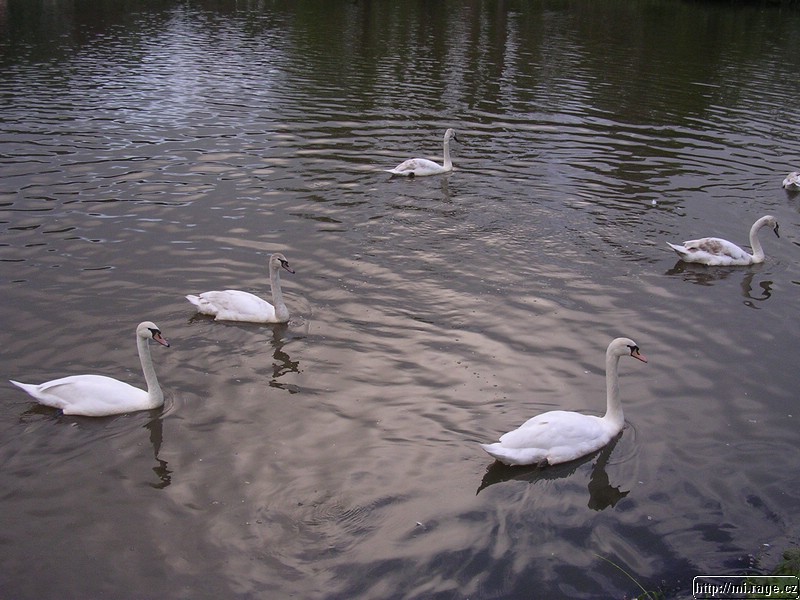 DSCN5157.JPG