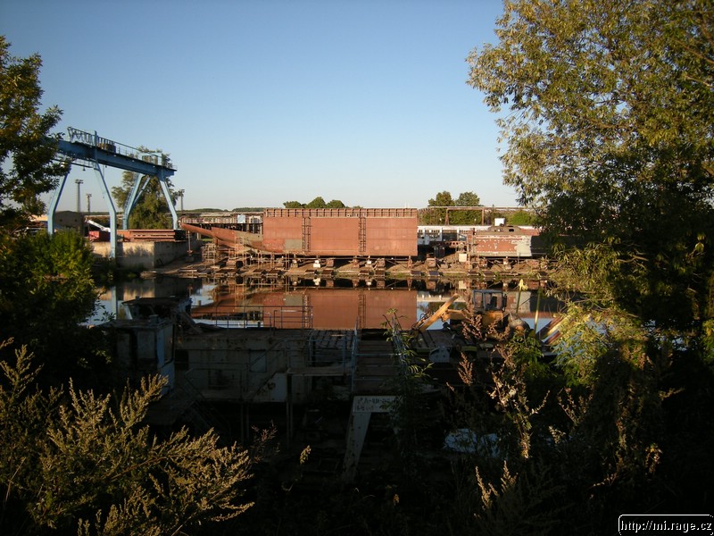 DSCN4779.jpg