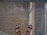 DSCN4774.jpg