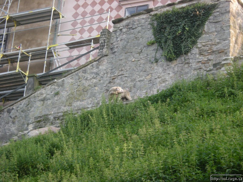 DSCN9827.jpg