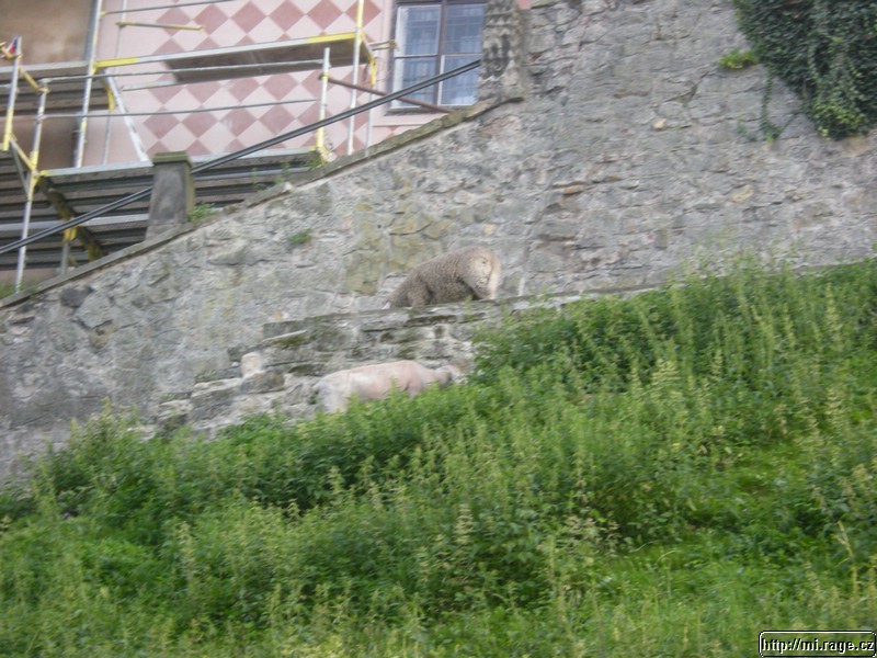 DSCN9828.jpg