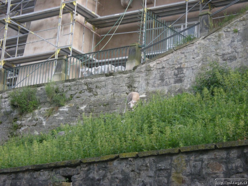 DSCN9829.jpg