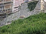 DSCN9826.jpg