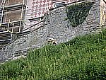 DSCN9827.jpg