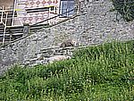 DSCN9828.jpg