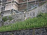 DSCN9829.jpg