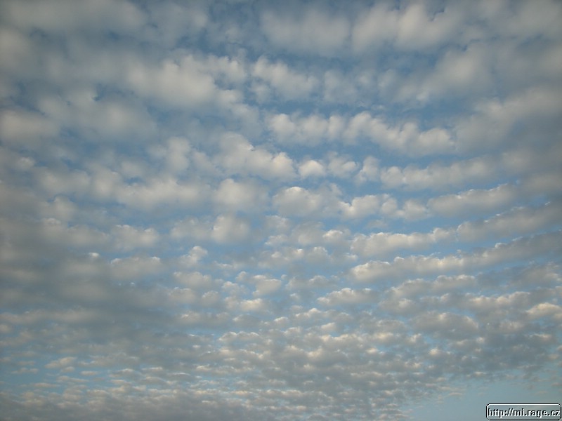 DSCN3577.jpg