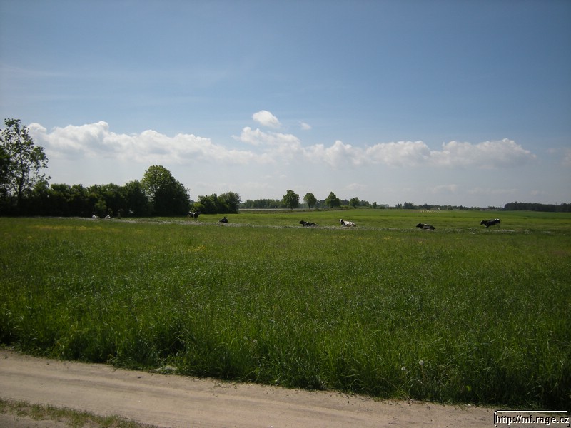 DSCN3304.jpg