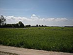 DSCN3304.jpg