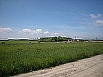 DSCN3305.jpg