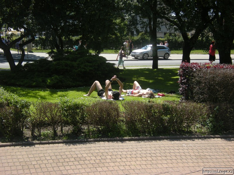DSCN4937.jpg