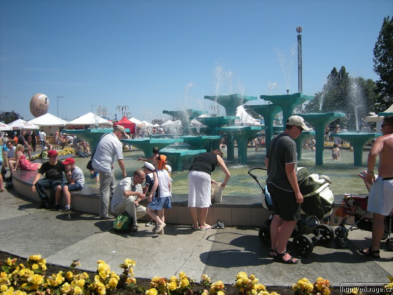 DSCN4950.jpg