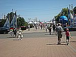 DSCN4941.jpg