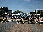 DSCN4955.jpg