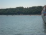 DSCN4984.jpg