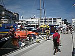 DSCN4995.jpg