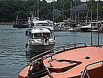 DSCN5017.jpg
