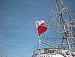 DSCN5050.jpg