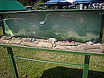 DSCN5129.jpg