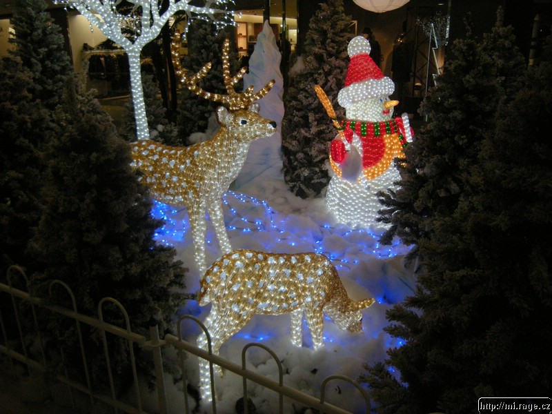 DSCN3300.JPG