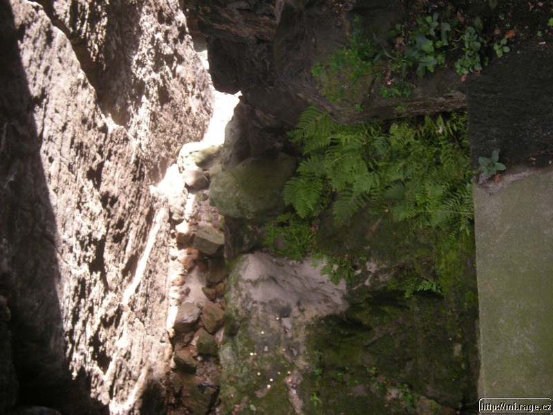 DSCN4814.JPG