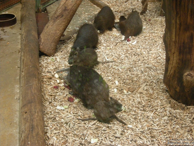 DSCN9282.JPG