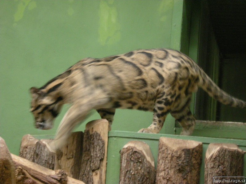 DSCN9460.JPG