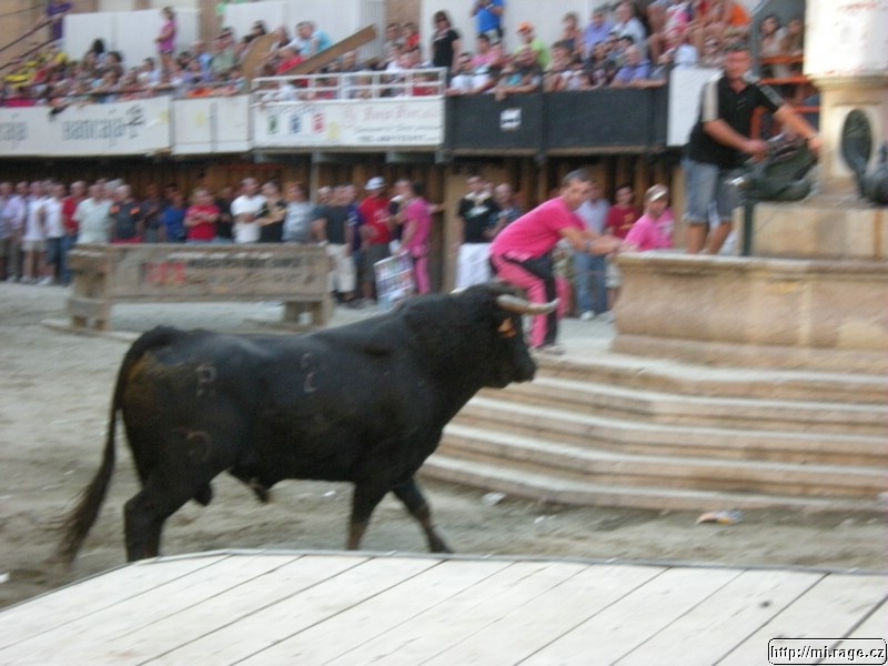 DSCN3998.JPG