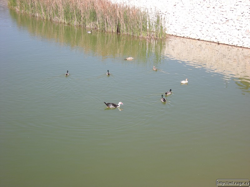 DSCN7860.JPG