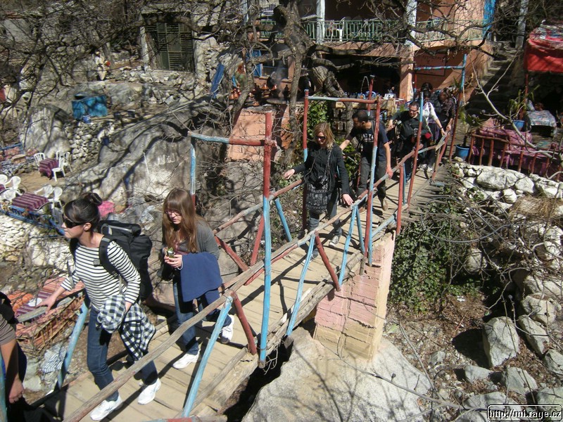 DSCN0733.JPG