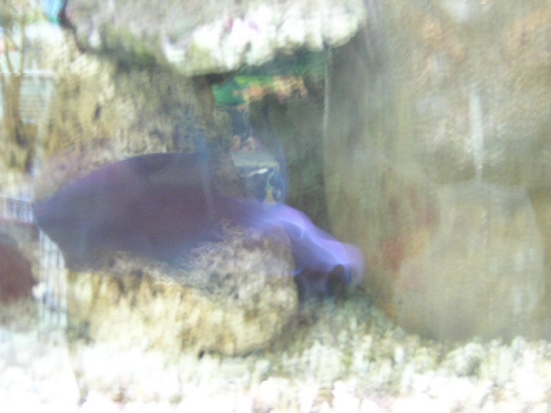 DSCN1403.JPG
