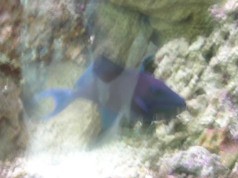 DSCN1404.JPG