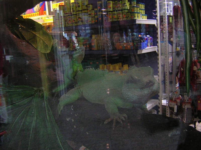 DSCN1408.JPG