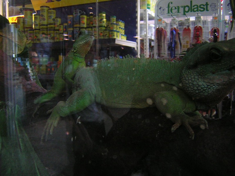 DSCN1410.JPG