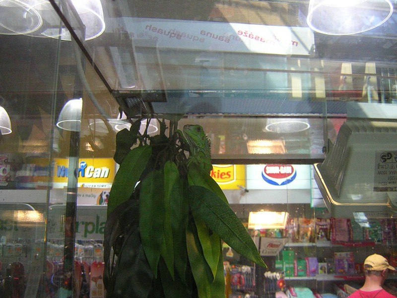 DSCN1412.JPG