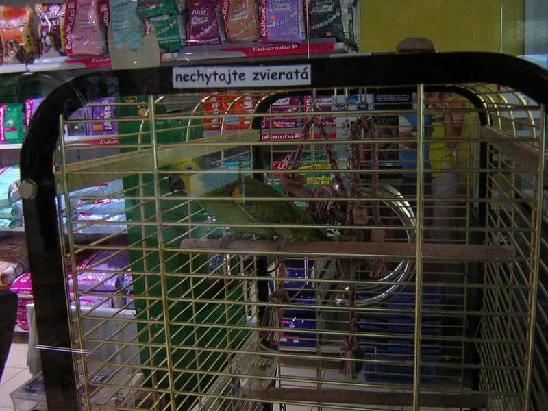 DSCN1413.JPG