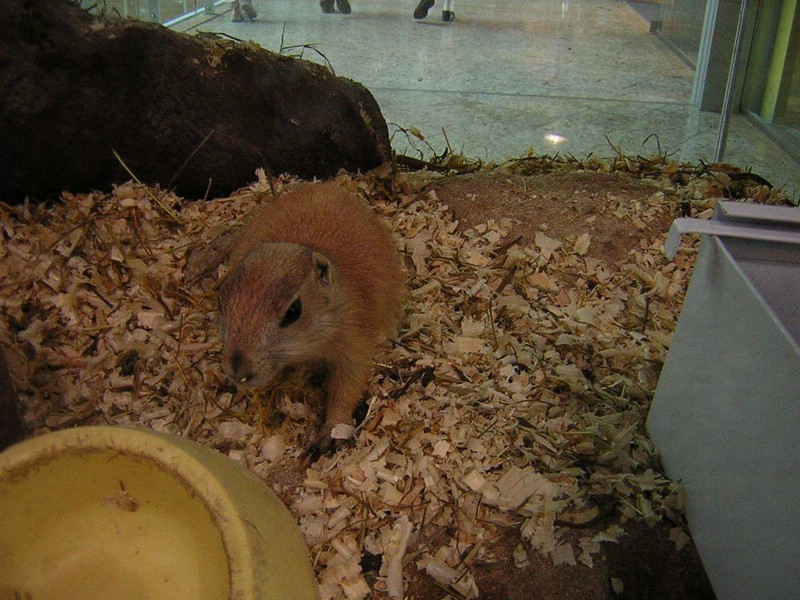 DSCN1417.JPG