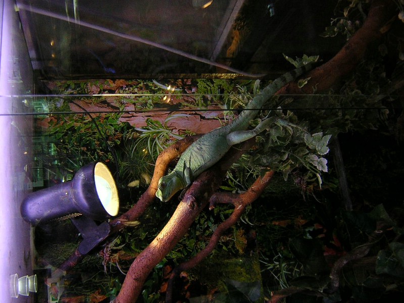 DSCN1428.JPG