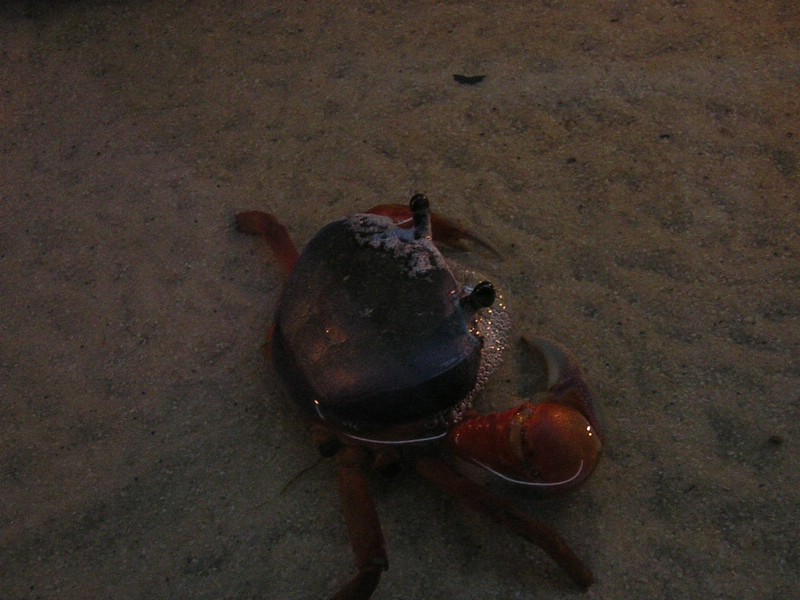 DSCN1429.JPG