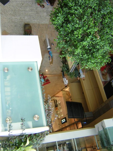 DSCN1449.JPG