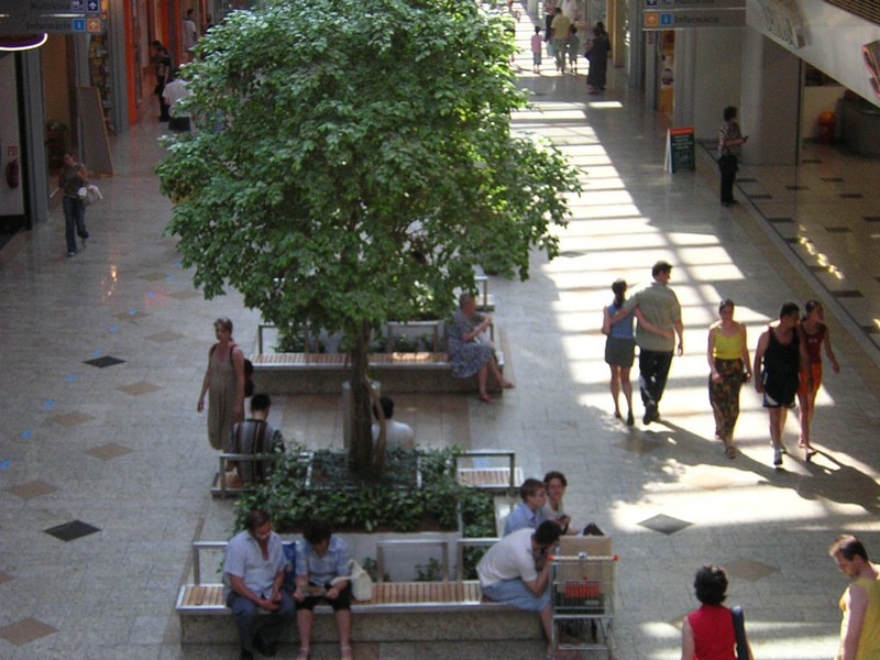 DSCN1456.JPG
