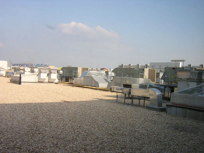 DSCN1484.JPG