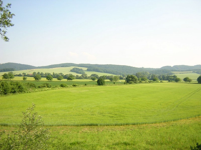 DSCN1944.JPG