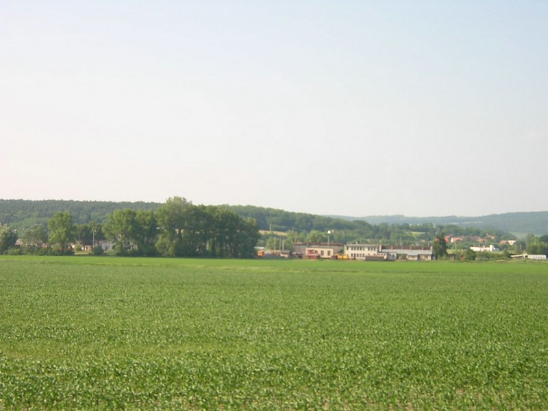 DSCN1946.JPG