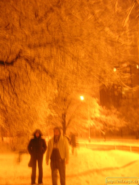 DSCN9229.JPG