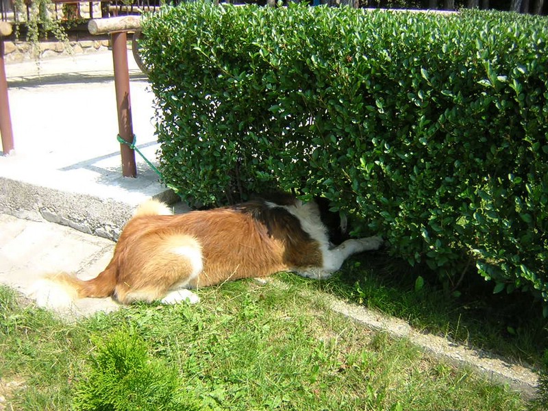 DSCN5332.JPG