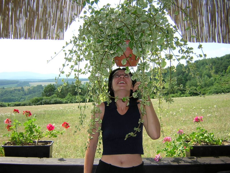 DSCN5353.JPG