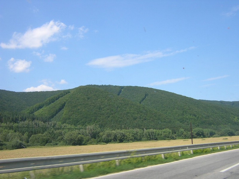DSCN5409.JPG