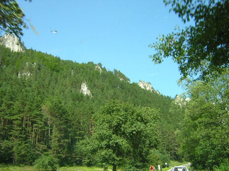 DSCN5412.JPG